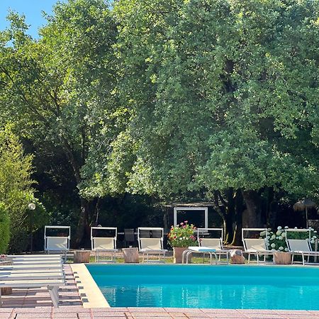 Le Case Di Lisetta Holiday Homes 科尔恰诺 外观 照片