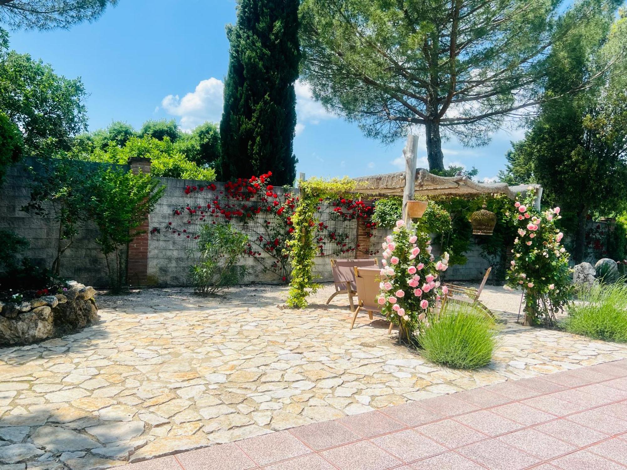 Le Case Di Lisetta Holiday Homes 科尔恰诺 外观 照片