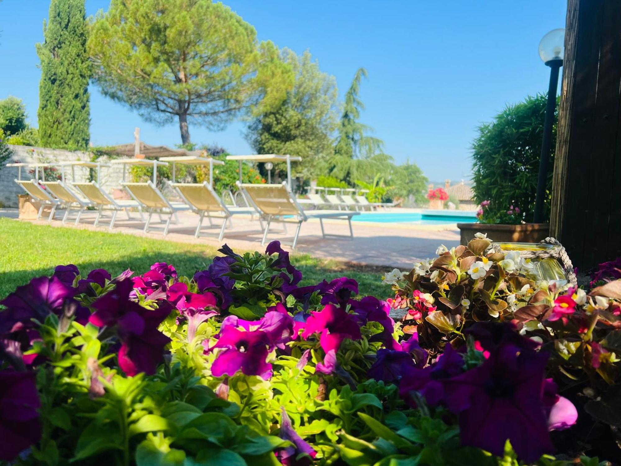 Le Case Di Lisetta Holiday Homes 科尔恰诺 外观 照片