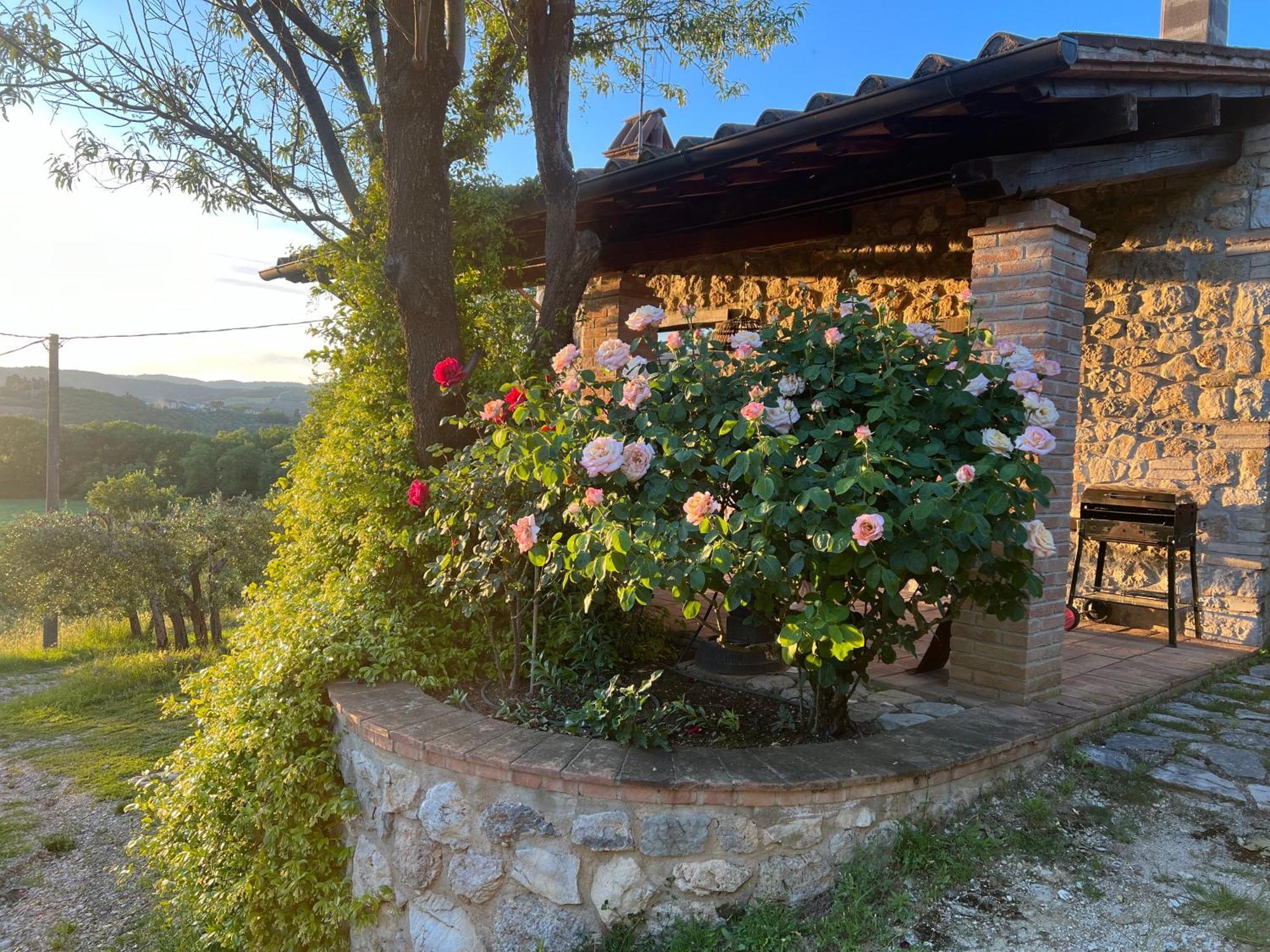 Le Case Di Lisetta Holiday Homes 科尔恰诺 外观 照片