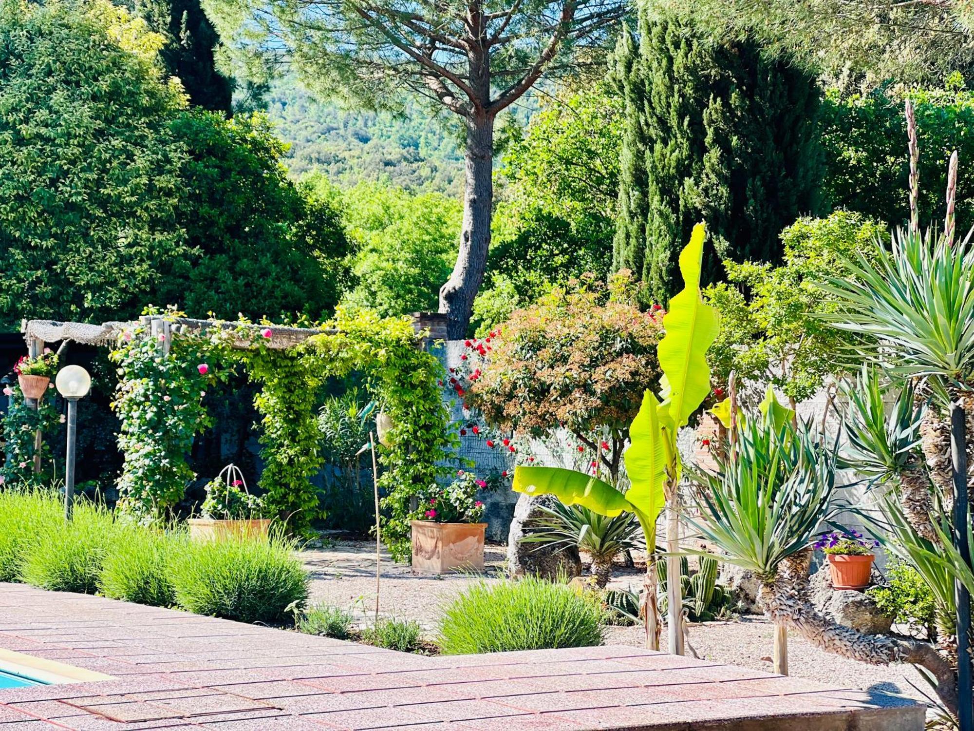 Le Case Di Lisetta Holiday Homes 科尔恰诺 外观 照片