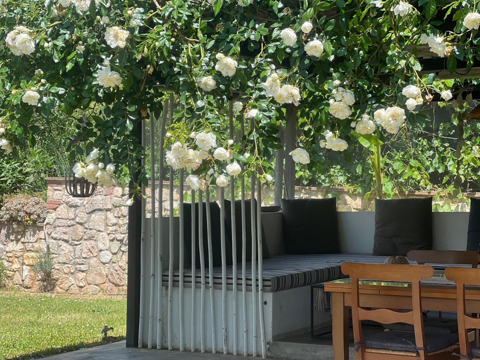 Le Case Di Lisetta Holiday Homes 科尔恰诺 外观 照片